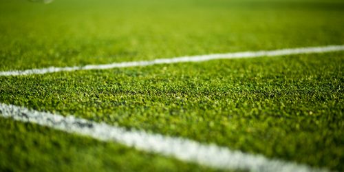 Artificial Turf, Turf Installation, Pet Turf, Playground Turf, Artificial Grass, Free Estimate