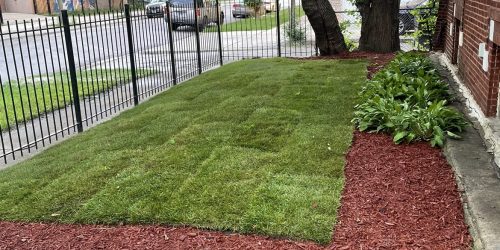 Sod Installation, Sod Installer, New Sod, Sod Company, Sod Contractor