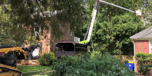 Tree Removal, Tree Cutting, Tree Service, Free Estimates Tree Removal, Tree Cutting, Tree Service, Free Estimates